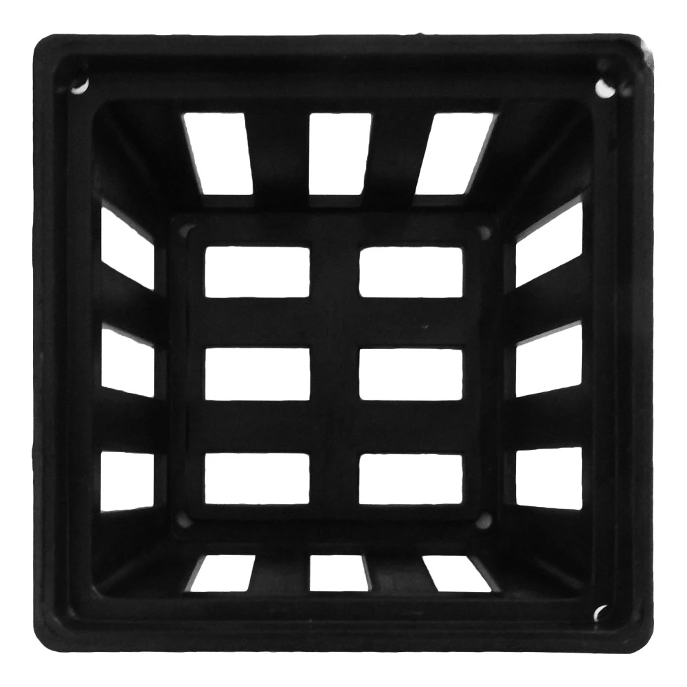 Square Vanda Pot 100mmSQ X 60mm 2 Square Vanda Pot 100mmSQ X 60mm - Image 2