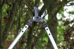 ARS LP40 Bypass Lopper -Garden Bliss ARSLP 40 g6 gallery large 76443.1707092320