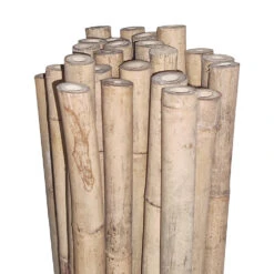 Bamboo Stakes 300cm