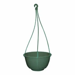 Grecian Hanging Basket Complete -Garden Bliss Grecian Hanging Basket Complete 250mm Jade Green 44516.1649645106