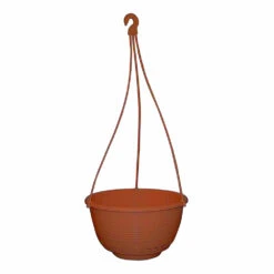 Grecian Hanging Basket Complete -Garden Bliss Grecian Hanging Basket Complete 250mm Rustic 11913.1649645107