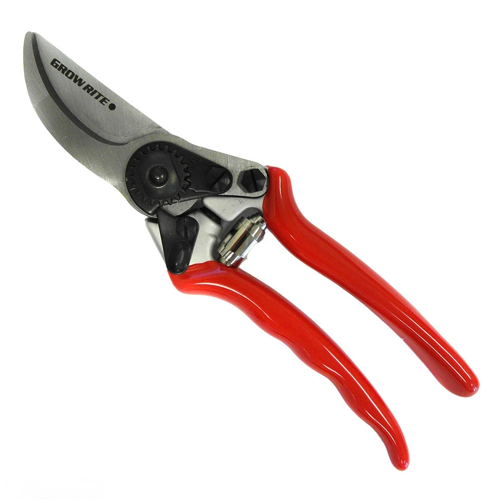 20cm Bypass Secateurs - Straight Professional 1 20cm Bypass Secateurs - Straight Professional