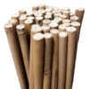 Bamboo Stakes 120cm