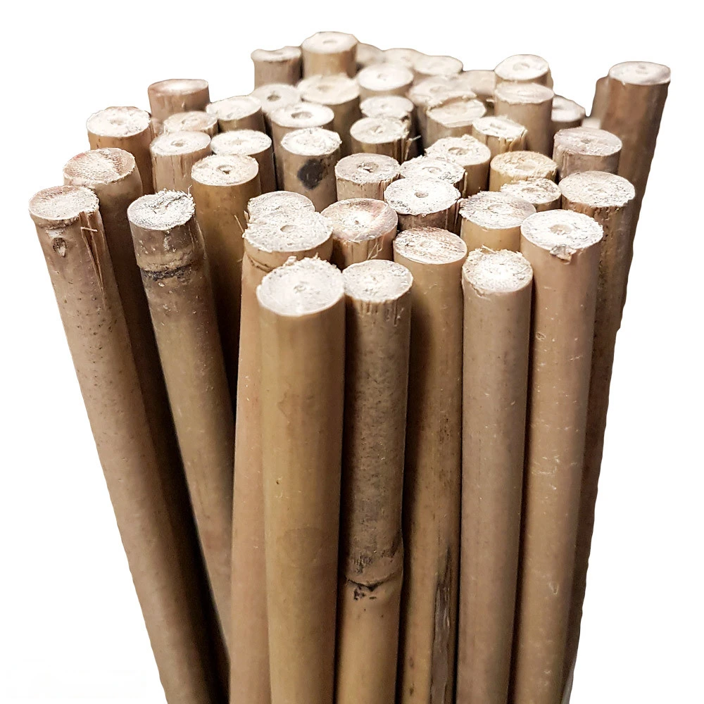 Bamboo Stakes 120cm 1 Bamboo Stakes 120cm