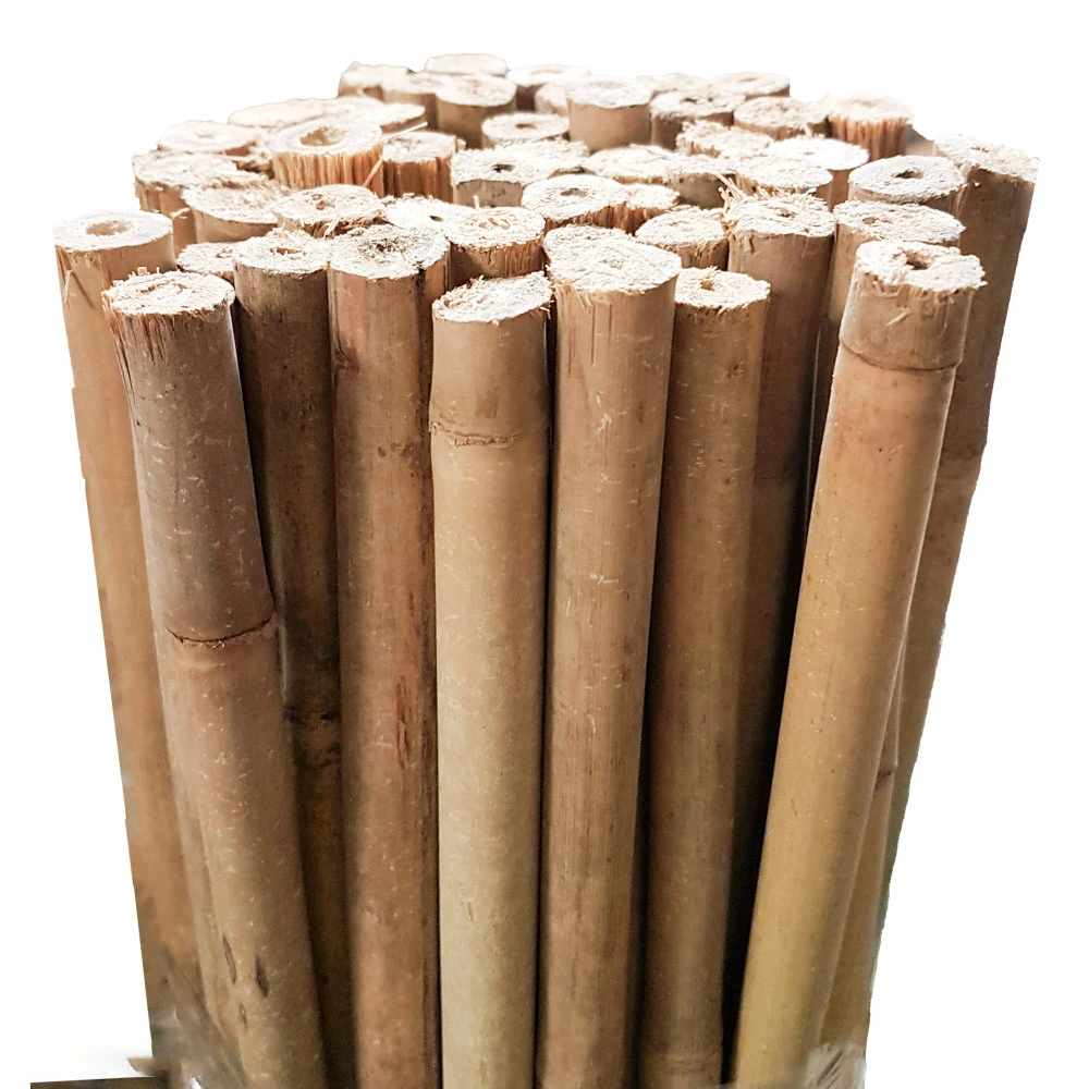 Bamboo Stakes 150cm 1 Bamboo Stakes 150cm
