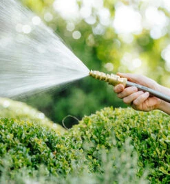 12mm Jumbo Click-On Adjustable Brass Nozzle 7 12mm Jumbo Click-On Adjustable Brass Nozzle -Garden Bliss Neta 12mm Jumbo Click On Adjustable Brass Nozzle 2 11134.1707288249