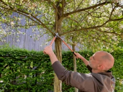 Bahco P16-60-F Professional 30mm Bypass Loppers With Steel Handle -Garden Bliss P16 60 F Professional 30mm Bypass Loppers with Steel Handle 4 14666.1707205330