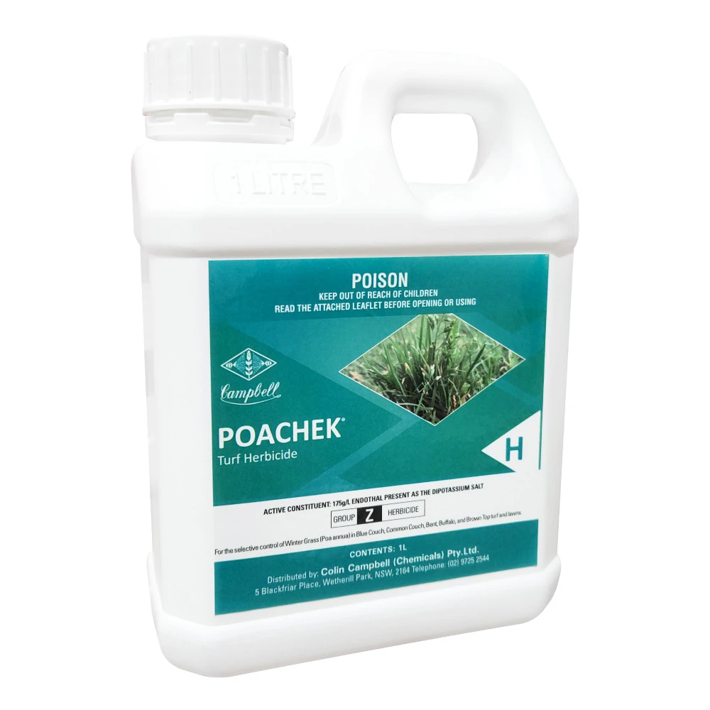 Poachek Winter Grass Herbicide 1 Poachek Winter Grass Herbicide
