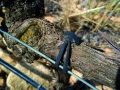 Agrifast Rubberties 10 Agrifast Rubberties -Garden Bliss agrifast rubber tie hook 1 37663.1689228320