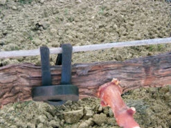 Agrifast Rubberties 11 Agrifast Rubberties -Garden Bliss agrifast rubber tie hook 2 00096.1689228320