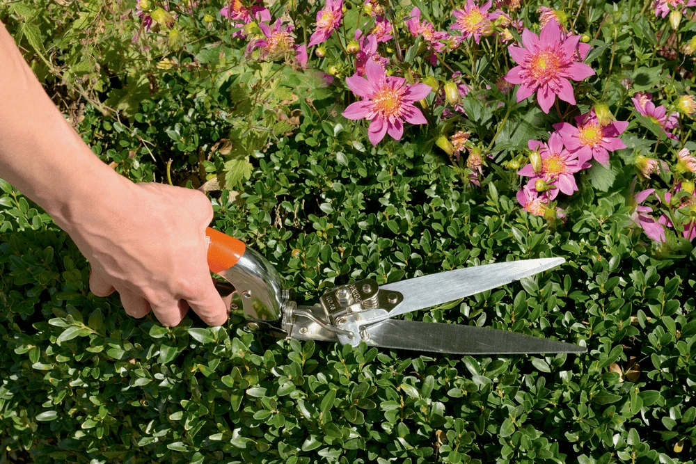 Bahco GS-76 Grass Shears With 3-Positions 3 Bahco GS-76 Grass Shears With 3-Positions - Image 3