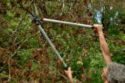 Bahco P173-SL-85 Professional 45mm Anvil Loppers With Lever Action And Aluminium Handle -Garden Bliss bahco p173 sl loppers 4 81463.1707202738