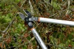 Bahco P173-SL-85 Professional 45mm Anvil Loppers With Lever Action And Aluminium Handle -Garden Bliss bahco p173 sl loppers 5 15602.1707202738