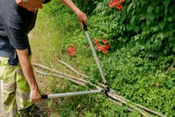 Bahco P173-SL-85 Professional 45mm Anvil Loppers With Lever Action And Aluminium Handle -Garden Bliss bahco p173 sl loppers 7 65888.1707202738