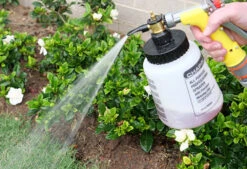 Professional Hose-End Sprayer With Metering Dial -Garden Bliss chapin 940ml multi ratio hose end sprayer 7 07497.1665543112