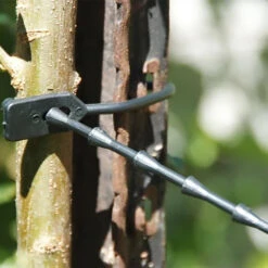 Flexi Easi Tie Tree Tie -Garden Bliss easie tie in use 57264.1689227414