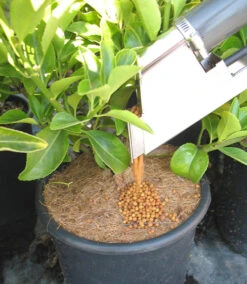 Backpack Topdressing Fertiliser Dispenser -Garden Bliss fertilDispenser11 89699.1656573836