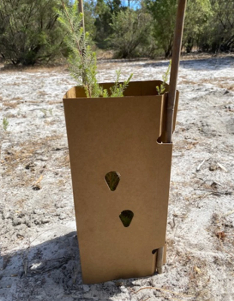 Greenguard MID Square Enviro Tree Guard 1 Greenguard MID Square Enviro Tree Guard