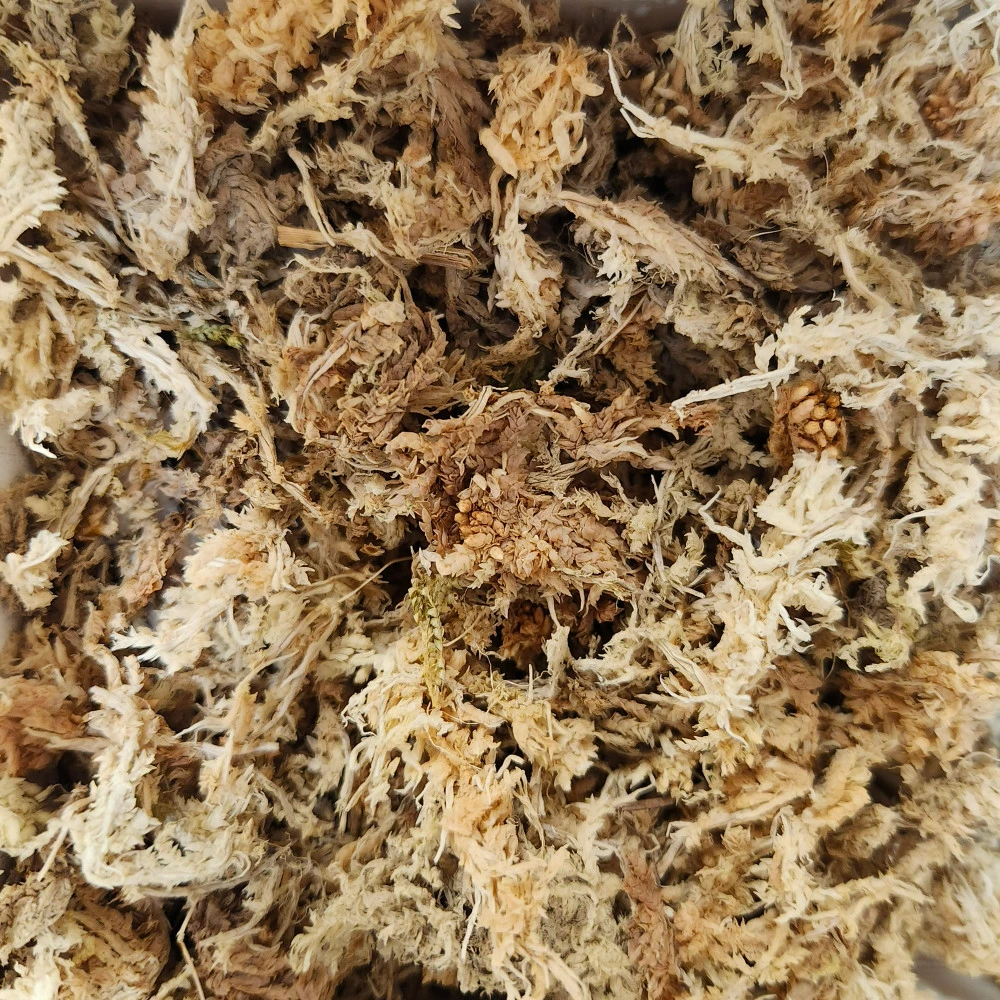 Sphagnum Moss Gold Grade 1 Sphagnum Moss Gold Grade