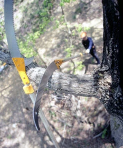 Silky Hayate Pole Saw Complete - Extendable -Garden Bliss silky hayate 3 56178.1684377373